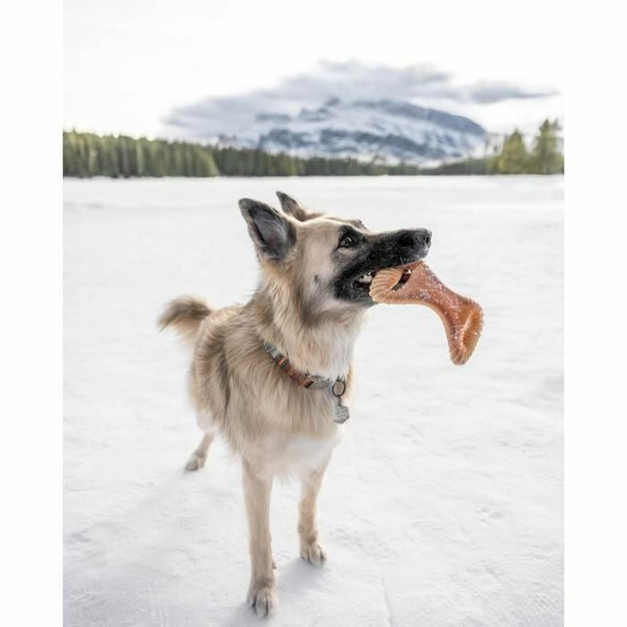 Jucărie pentru câine Benebone animale