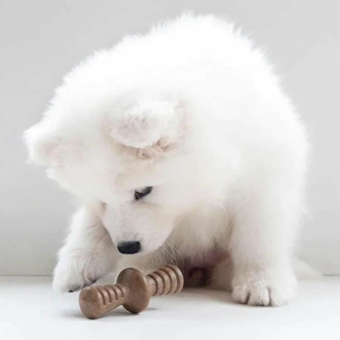 Jucărie pentru câine Benebone Maro animale