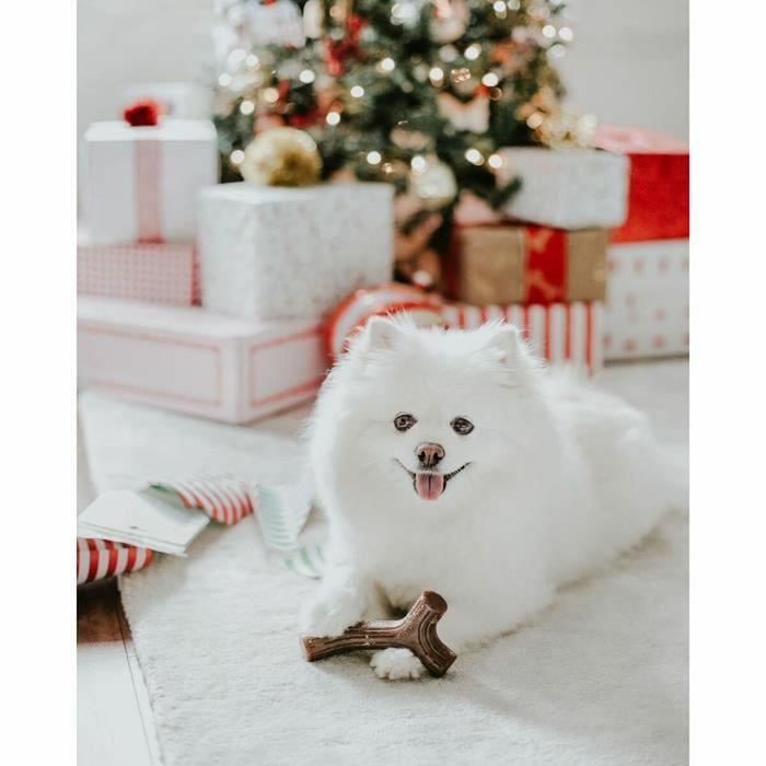 Jucărie pentru câine Benebone Maro animale