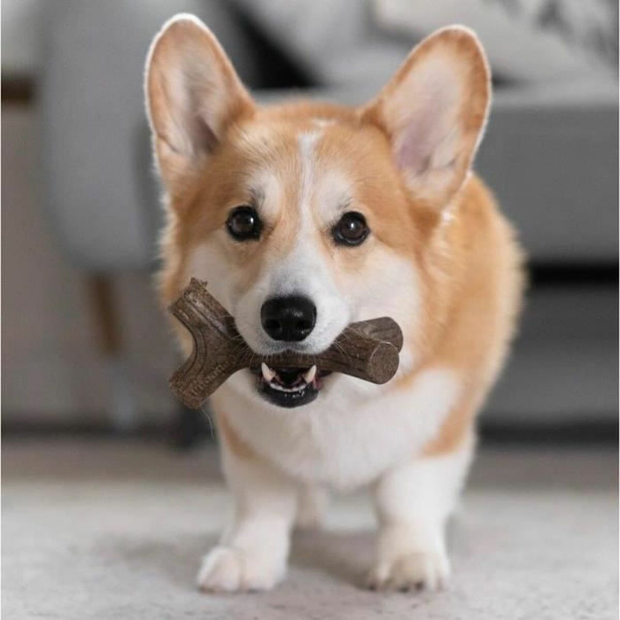 Jucărie pentru câine Benebone Maro animale