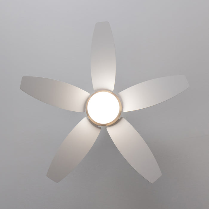Ventilator de tavan cu lampă Cecotec EnergySilence Aero 4200 GoldLightWood, 53 W, diametru 106 cm, 3 trepte, telecomandă