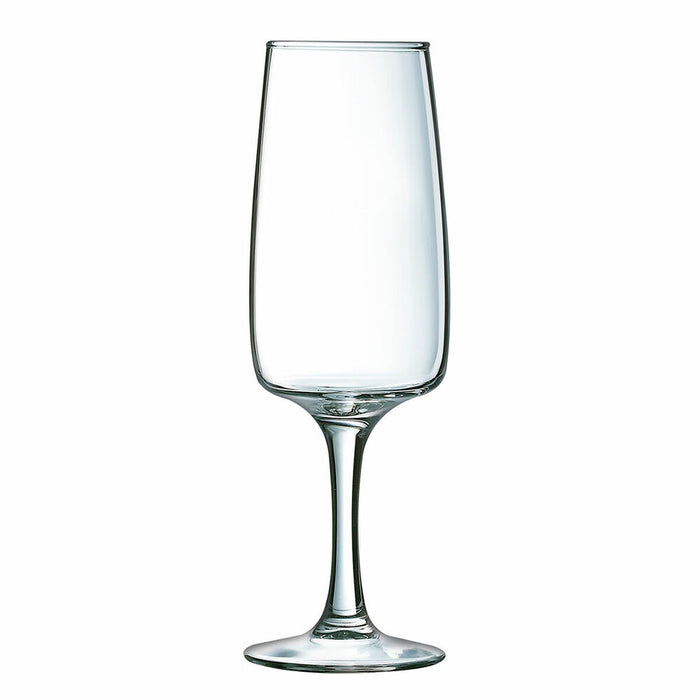 Pahar de șampanie Luminarc Equip Home Transparent Sticlă (17 CL)