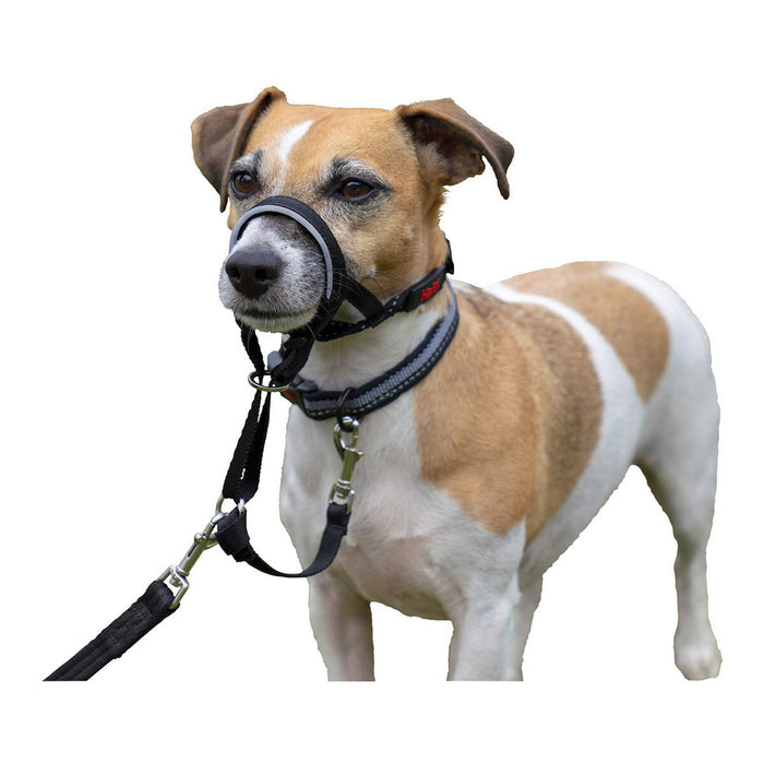 Gulerele de dresaj pentru câini Company of Animals Halti Negru Botniță (31-40 cm)