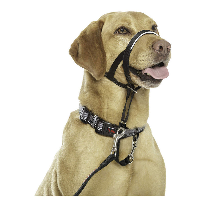 Gulerele de dresaj pentru câini Company of Animals Halti Negru Botniță (40-54 cm)