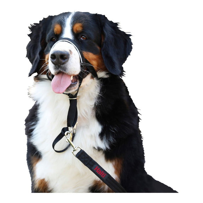 Gulerele de dresaj pentru câini Company of Animals Halti Negru Botniță (40-54 cm)