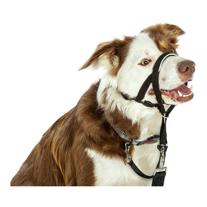 Gulerele de dresaj pentru câini Company of Animals Halti Negru Botniță (40-54 cm)