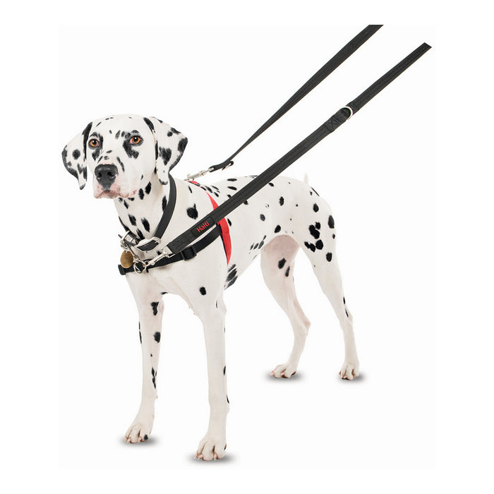 Ham pentru câini Company of Animals Halti Negru/Roșu Mărimea S (36-64 cm)