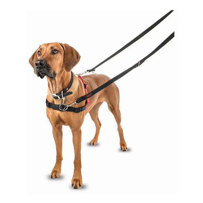 Ham pentru câini Company of Animals Halti Negru/Roșu Mărimea S (36-64 cm)
