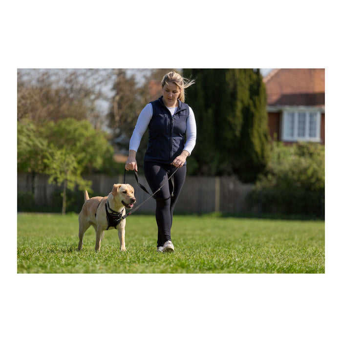 Ham pentru câini Company of Animals Halti Mărimea S (26-36 cm)
