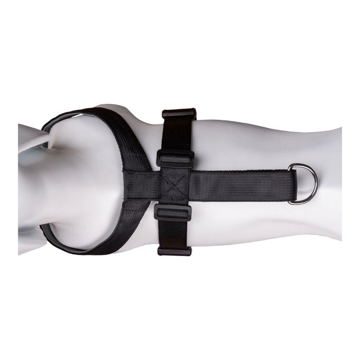 Ham pentru câini Company of Animals CarSafe Negru Mărimea M