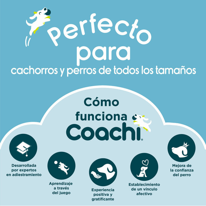Fluier Coachi