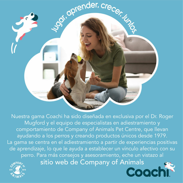 Training toy Coachi Stick Albastru