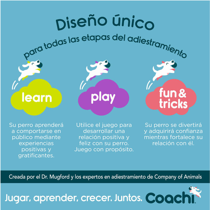 Training toy Coachi Albastru