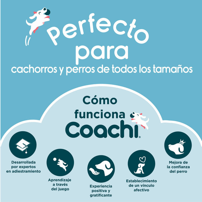 Training toy Coachi Albastru