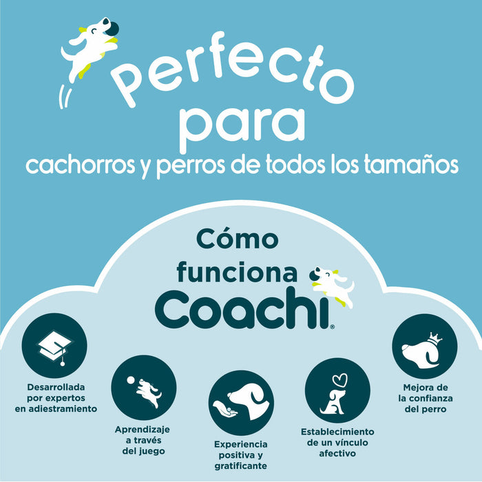 Lesă pentru câine Coachi Antrenament Albastru 2,5 m