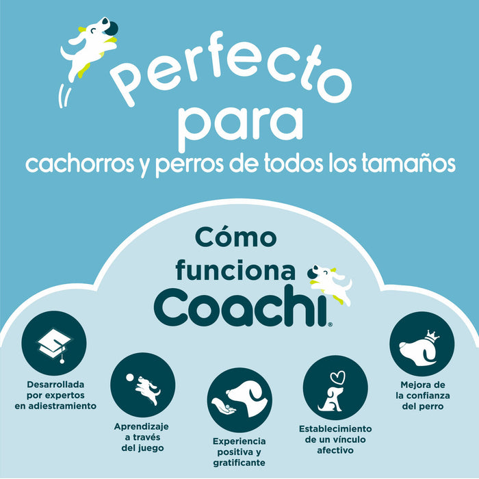 Lesă pentru câine Coachi Antrenament Albastru