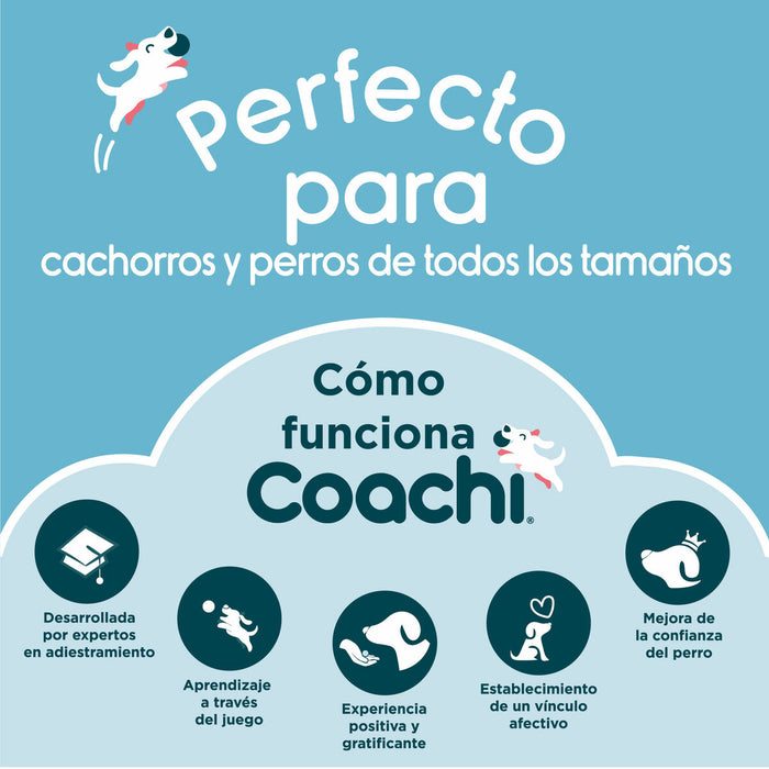 Halteră Coachi TRAINING DUMBBELL Albastru