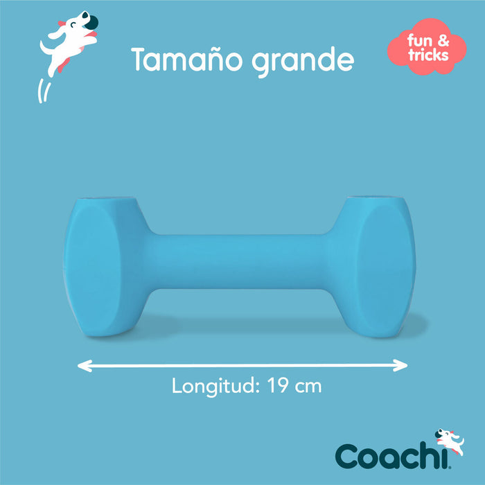 Halteră Coachi TRAINING DUMBBELL Albastru