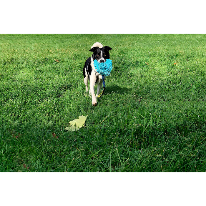 Training toy Coachi TUGGI HIDE Albastru