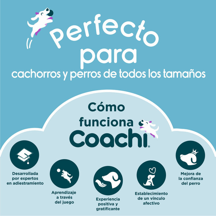 Training toy Coachi CHASE & CRINKLE Albastru