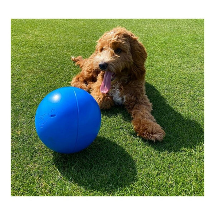 Jucărie pentru câini Company of Animals Boomer Albastru (200mm)