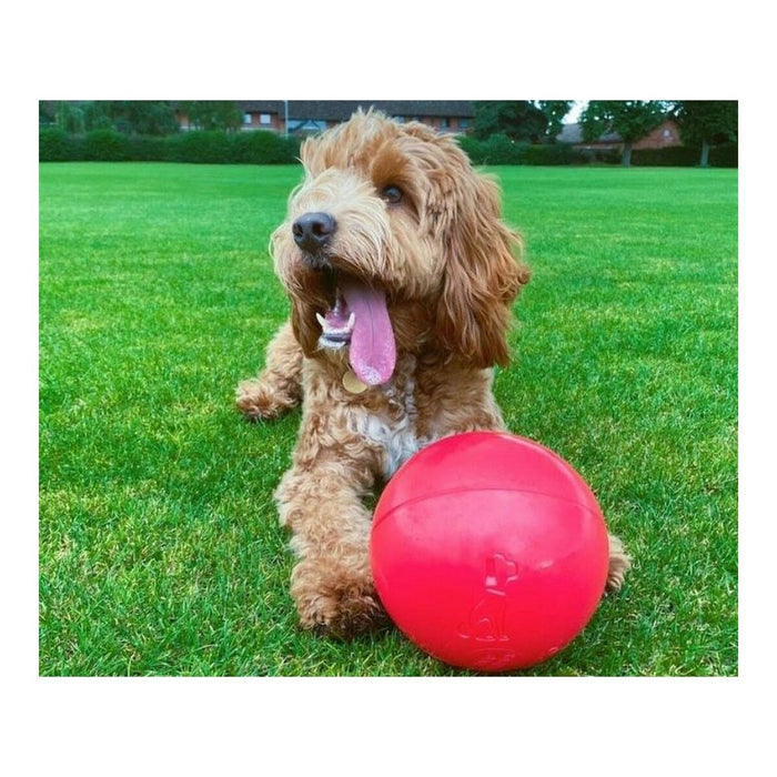 Jucărie pentru câini Company of Animals Boomer Albastru (250mm)