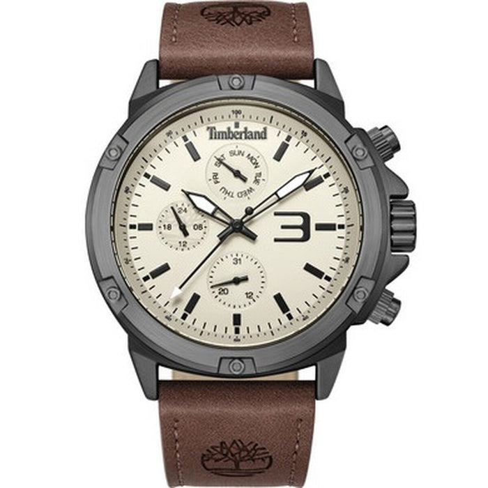 Ceas Bărbați Timberland TDWGF9002903 (Ø 46 mm)
