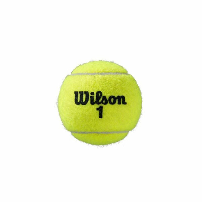 Mingi de Tenis Wilson Roland Garros All Court Galben