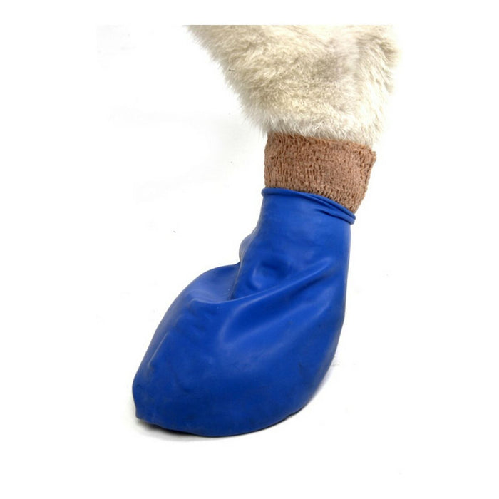 Cizme Pawz Câine 12 Unități Mărimea XL Verde