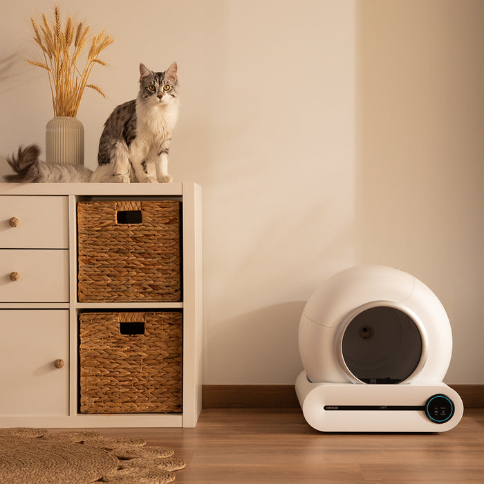 Litieră automată Cecotec Pumba 8500 CleanKitty Smart, 65 l, recipient deșeuri 9 l, control Wi-Fi