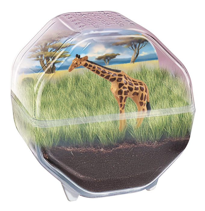Set creativ Clementoni Science & Play, My Wild Terrarium Girafe, 7+ ani