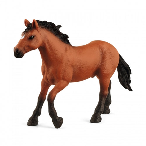 Figurină cal Appaloosa, Schleich, Special Edition