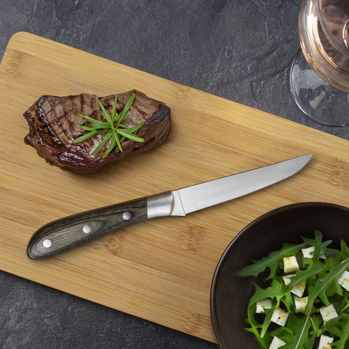 Set de cuțite pentru carne Amefa Achille Metal 23 x 2,4 x 1,5 cm 6 Unități