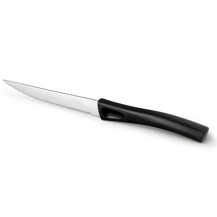 Cuțit pentru carne Pradel essentiel Get Up Metal 21 cm (12 Unități)