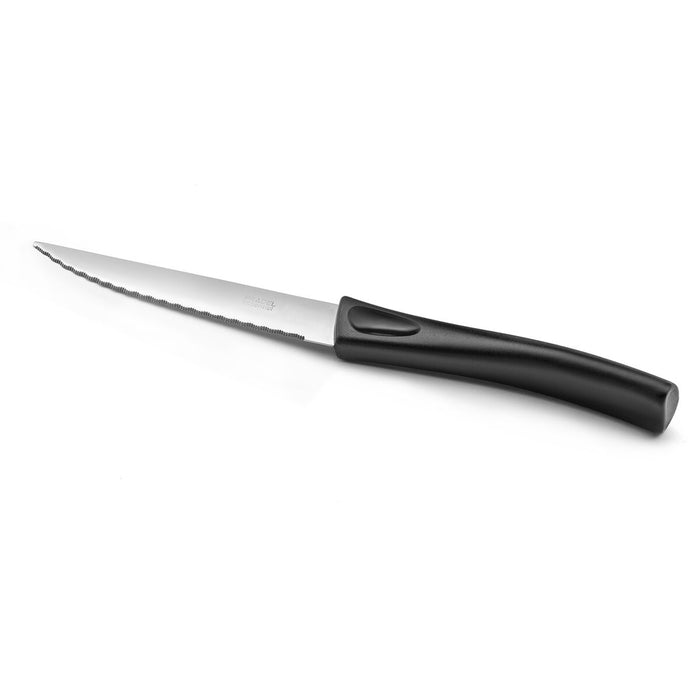Cuțit pentru carne Pradel essentiel Get Up Metal 21 cm (12 Unități)