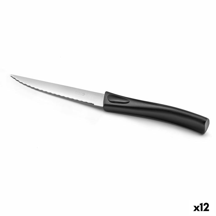 Cuțit pentru carne Pradel essentiel Get Up Metal 21 cm (12 Unități)