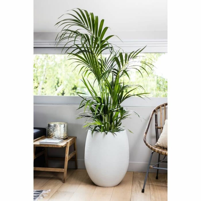 Ghiveci Alb Ø 50 cm