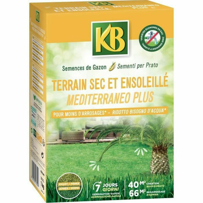 Semințe KB Iarbă Mediterană 1 kg 40 m²