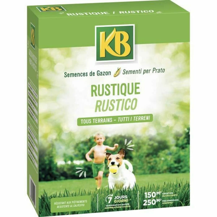Semințe KB Iarbă