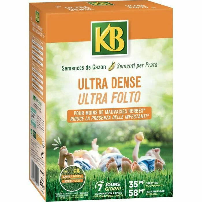 Semințe KB Iarbă