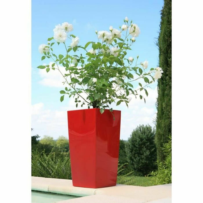 Ghiveci Riviera Roșu Plastic Pătrat Rotund Modern 29 x 29 x 52 cm 29 x 29 cm