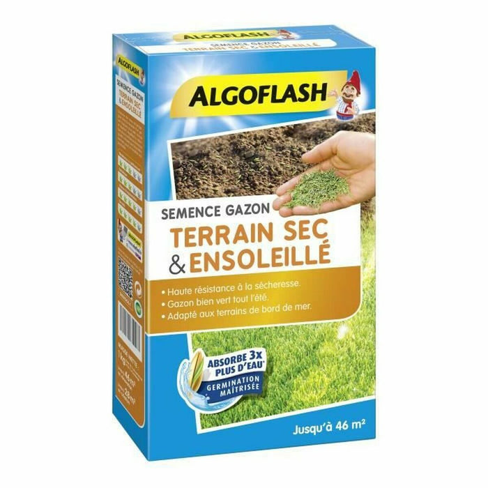 Semințe Algoflash SEMSOL1