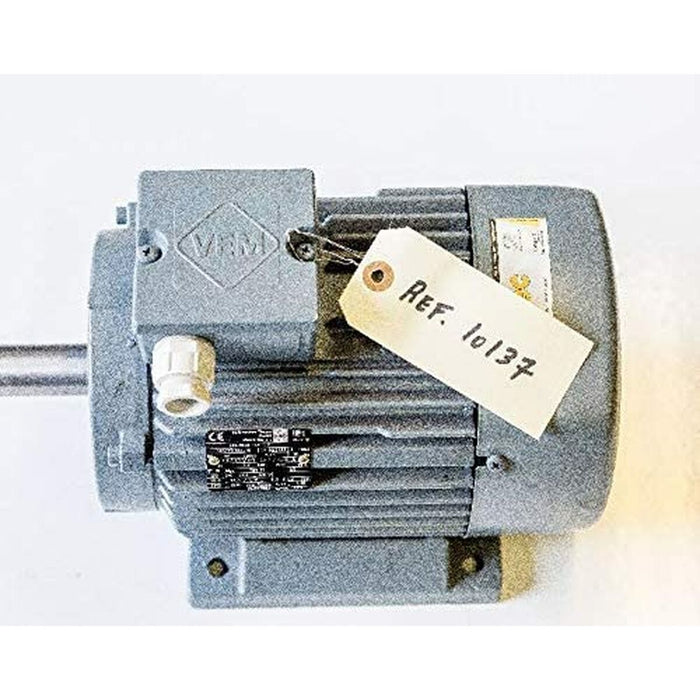 Etichete pentru Imprimantă Apli 1000 Piese Cu șaibă Crem 140 x 70 mm