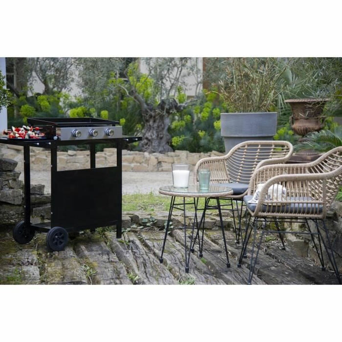 Grătar pe gaz Max Gas Negru 60 x 35 cm
