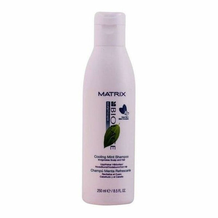 Șampon Revitalizant Biolage Scalptherapie Biolage 3474630348110 (250 ml) 250 ml