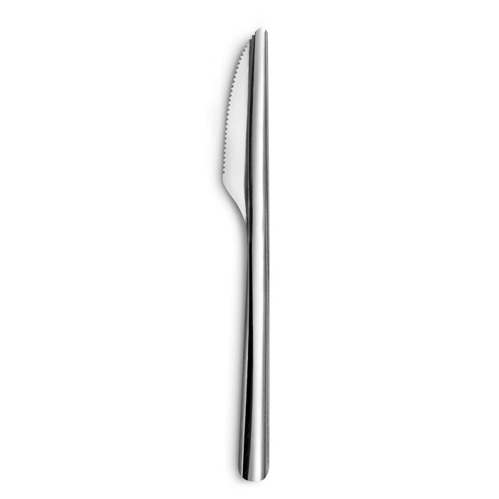 Set de Cuțite Amefa Ecologic Slim Metal Oțel (12 Unități)