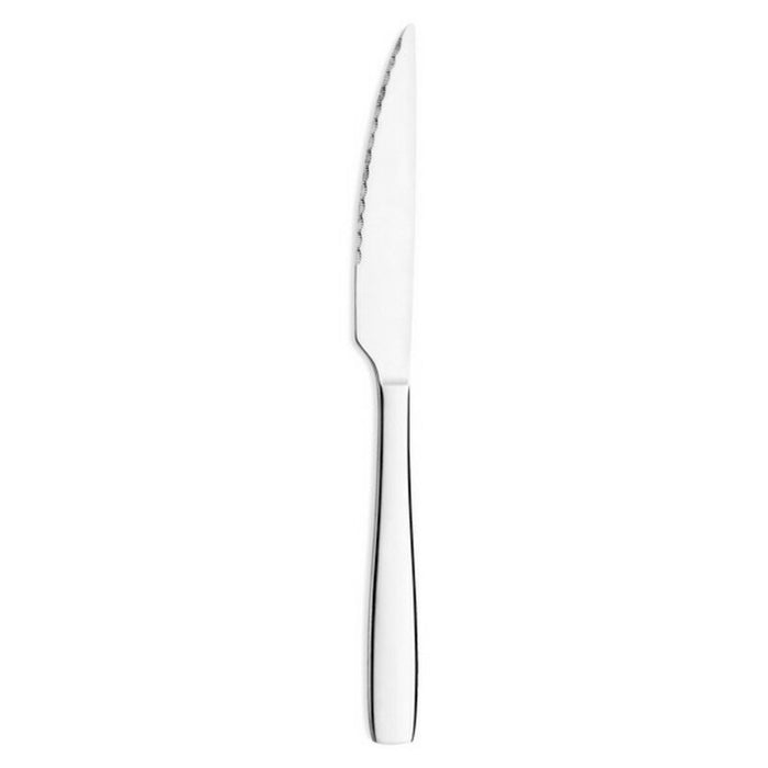 Set de Cuțite Amefa Hotel 2 Unități (29 cm)