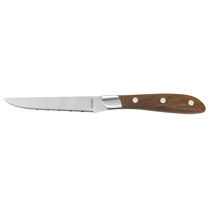 Set de cuțite pentru carne Amefa Achille Bicolor Metal 23 x 2,4 x 1,5 cm