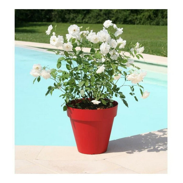 Ghiveci Riviera 414056 Ø 39,2 x 35,8 cm Roșu
