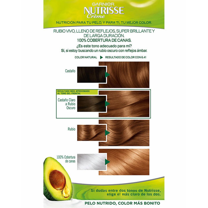 Colorare Permanentă Cremă Garnier Nutrisse (3 Unități)